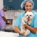 Le 10 migliori cliniche veterinarie a Milano