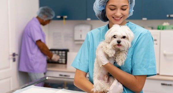 Le 10 migliori cliniche veterinarie a Milano