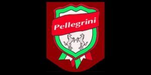logo-pellegrini
