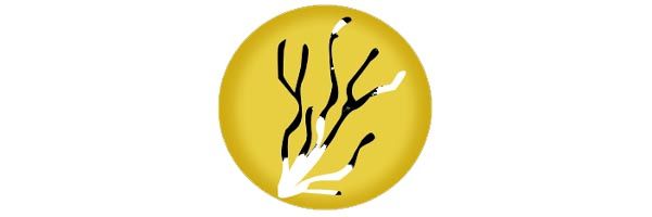 logo-4cento