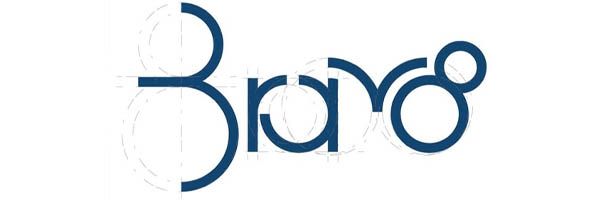 logo-bravo8