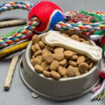 I-10-migliori-negozi-di-animali-in-Milano