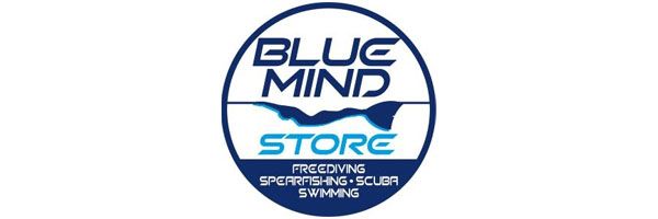 logo-blue-mind