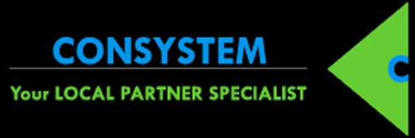 logo consystem