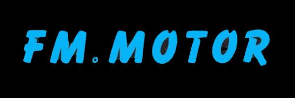 logo-fm-motor