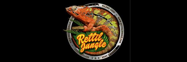 logo-rettil-jungle