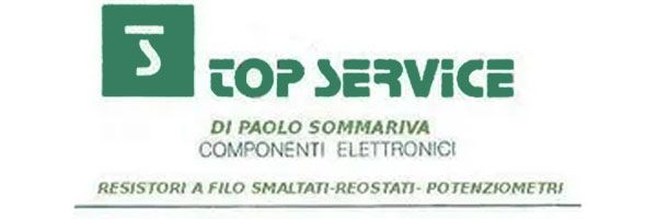 logo top service