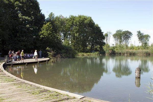 Boscoincittà