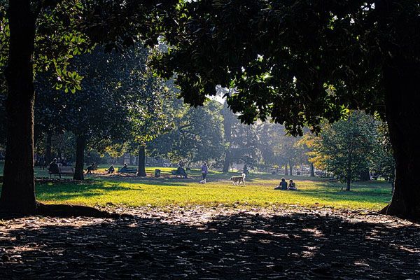 Jardines -ndro-Montanelli