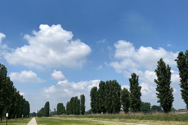 Parco della Vettabbia