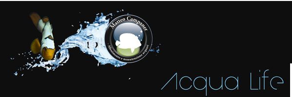 logo Acqua life