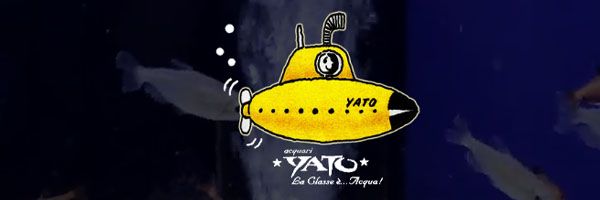 logo yato