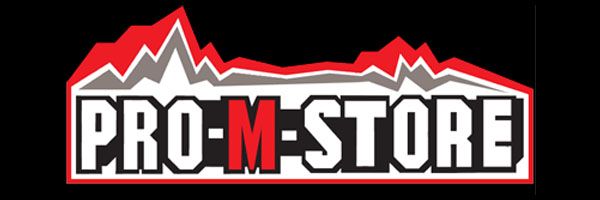 logo pro-m-store