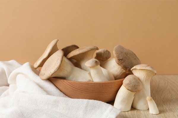 Funghi porcini freschi