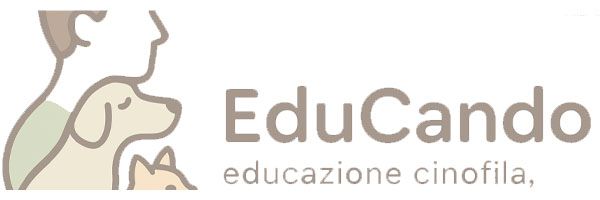 logo educando