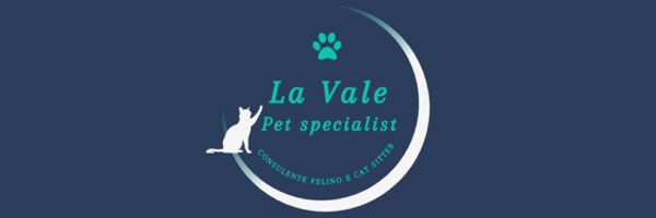 logo kigi la vake