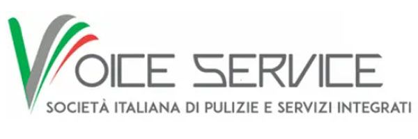 logo voice service