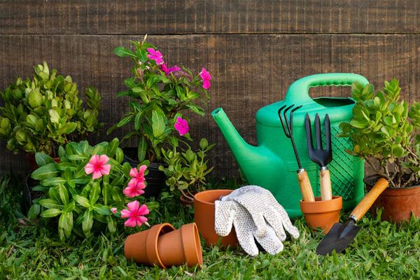 Piante e articoli per il giardinaggio
