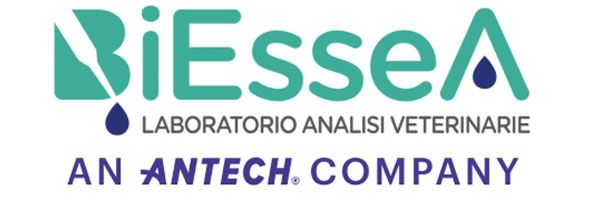 logo biesea