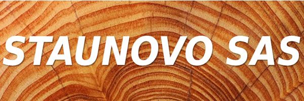 logo staunovo