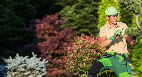servizi di giardinaggio e manutenzione esterna a Milano