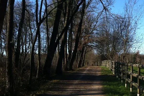 Parco delle Groane