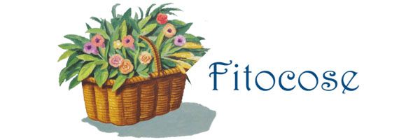 logo fitocose