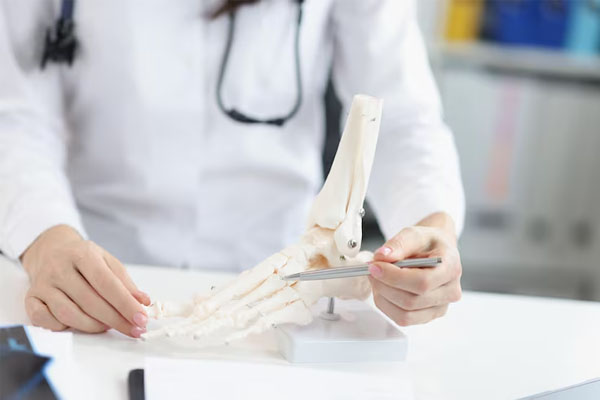 primo piano a portata di mano del medico che punta il modello di scheletro della mano