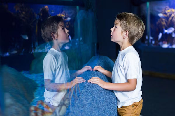 Bambini che visitano le sale espositive del museo