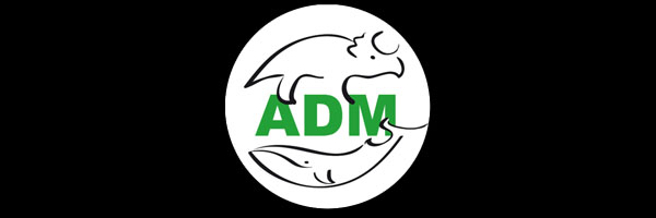 logo ADM