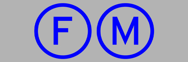 logo fm