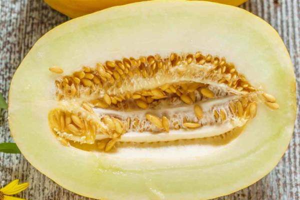 Semi di Melone