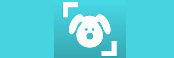 logo dog scannner