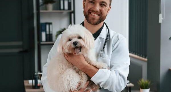 Le 10 migliori cliniche per la sterilizzazione degli animali a milano