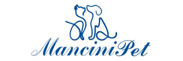 logo mancini